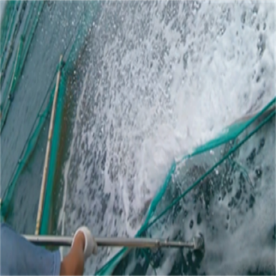 水射流技術用于海參養殖網衣清洗