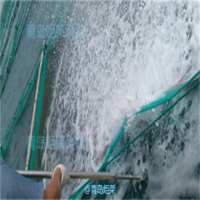 面向水產(chǎn)養(yǎng)殖行業(yè)的空化射流水下網(wǎng)箱清洗機器人